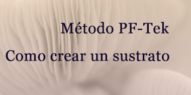 Crear un sustrato para cultivar setas: método PF-Tek