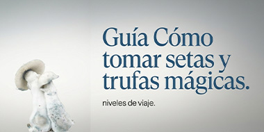 Cómo tomar setas y trufas mágicas: niveles de viaje