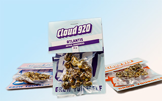 Trufas Mágicas
