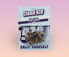 Atlantis · 15 g